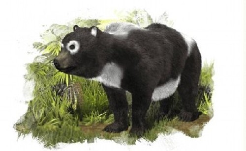 国宝熊猫起源于欧洲？西班牙科学家发现疑似史前大熊猫近亲化石