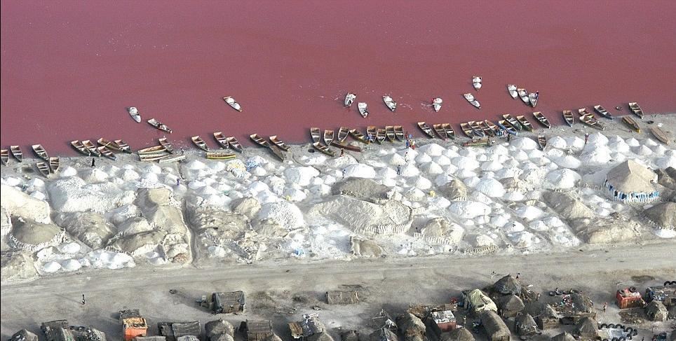 塞内加尔玫瑰湖：嗜盐微生物创造的粉红风情