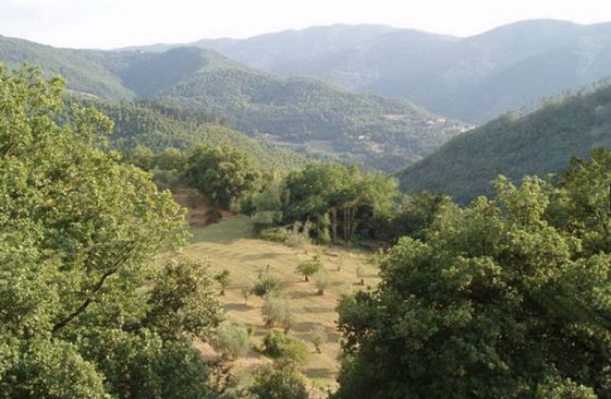意大利中世纪村庄毗邻国家公园 挂牌易趣网售价250万欧元
