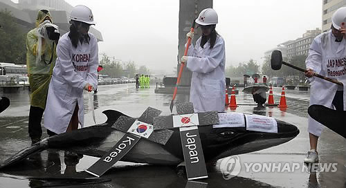 报告称韩国是从事非法捕鲸活动最多的国家