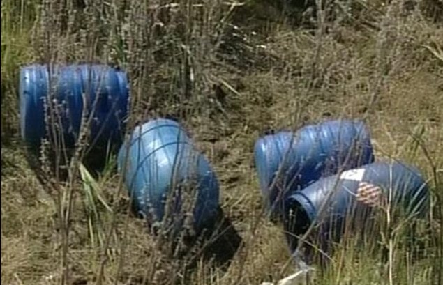 俄森林惊现248具胎儿尸体 或为科学研究后医疗废物
