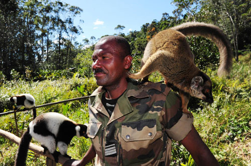 马达加斯加：珍禽异兽多