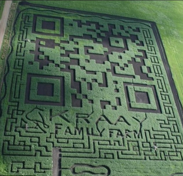 加拿大农场“种出”世界最大二维码 扫描即可跳转到农场网站