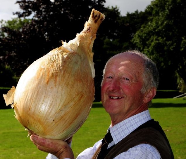 英退休老人热衷种植巨型蔬菜 创造多项世界纪录