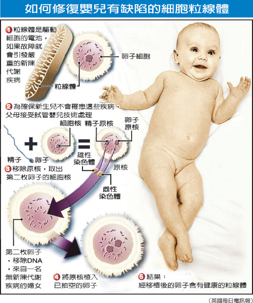 三个爹娘一个娃？英或允“三合一”胚胎技术用于临床治疗