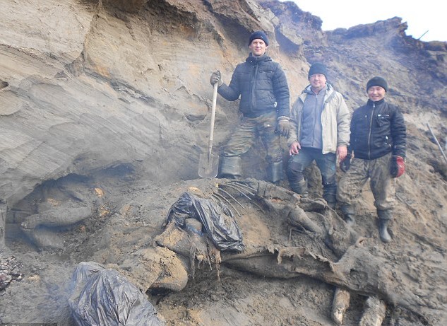 俄男孩发现3万年前猛犸象尸体 保存完好意义重大