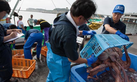 日本福岛未来10年无鱼可吃？最新研究发现附近四成鱼放射性超标