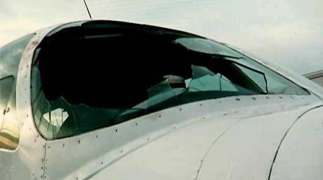 大鸟空中袭“机”撞碎挡风玻璃 血洒机舱飞机迫降