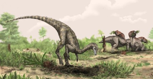 英国博物馆惊现最古老恐龙化石 体型同中型犬相似