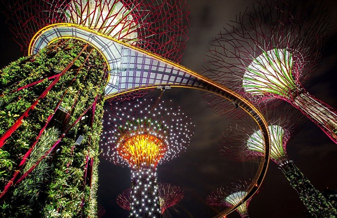 新加坡点亮迷人“超级树花园” 欲打造世界植物之都