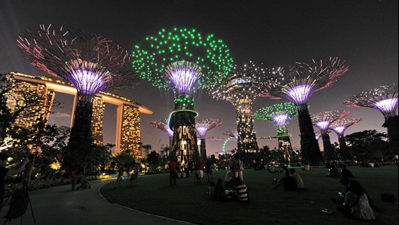 新加坡点亮迷人“超级树花园” 欲打造世界植物之都
