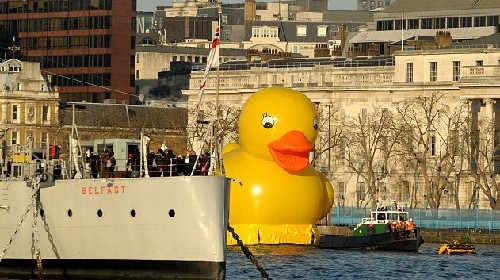 大鸭子“畅游”英国泰晤士河 只为博市民一笑(图)
