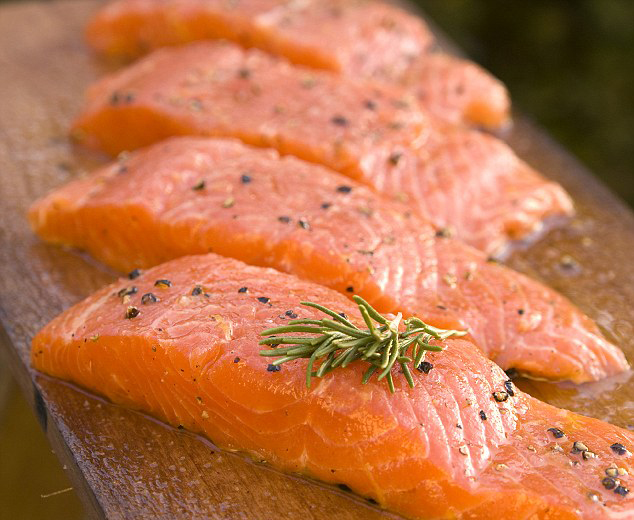 世界首条转基因鲑鱼将摆上美国餐桌 生长速度快一倍