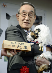 日本花猫站长“阿玉”就任6周年升迁“代理社长”