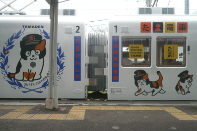 日本花猫站长“阿玉”就任6周年升迁“代理社长”