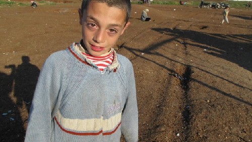叙利亚难民儿童靠野菜为生 处境艰难