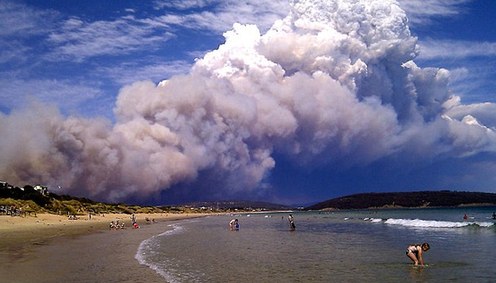 澳大利亚东南部岛屿火灾肆虐 已致100多人失踪