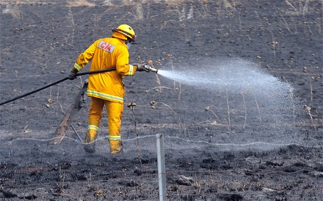 澳洲遭热浪袭击火灾频发 数千人被迫逃离家园