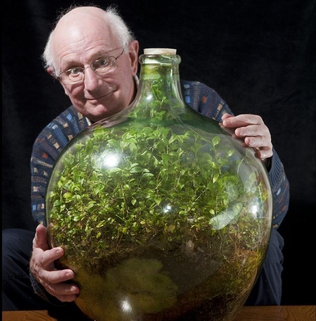 绿植瓶封40年仍长势旺盛 靠光合作用自给自足