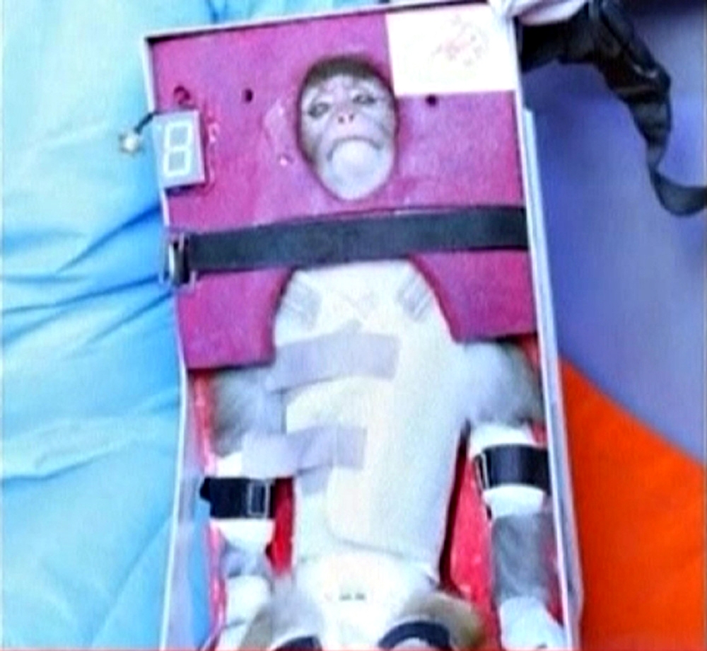 伊朗宣布成功将活猴送入太空 美国指其违反安理会决议