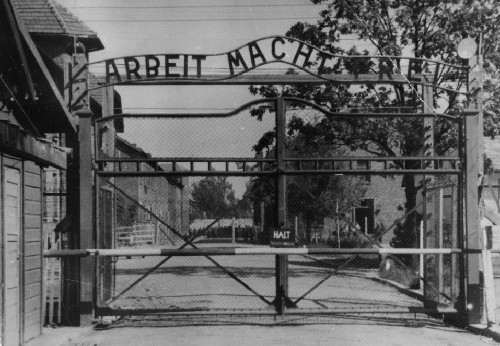 最新统计纳粹大屠杀集中营、贫民区已超过预估6倍