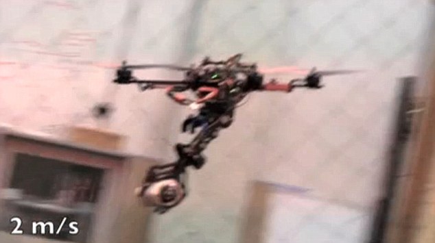 美国大学研制带臂无人机 可模仿秃鹰在空中捕猎