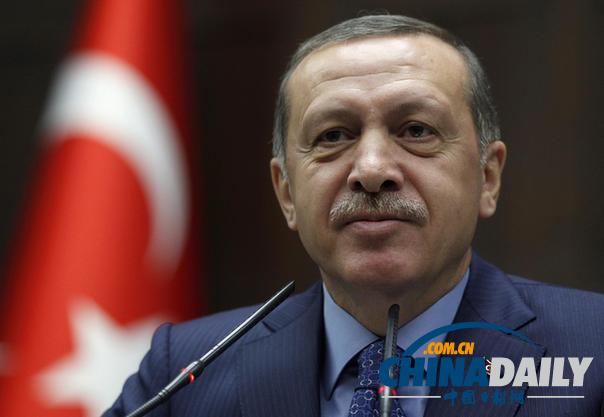 土耳其总理称支持美国在叙利亚设立禁飞区