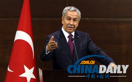 土耳其副总理向示威者致有限歉意 民众不满政府权力膨胀