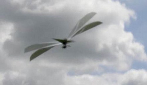 美科学家研发机器鸟 能以假乱真或将用于战争