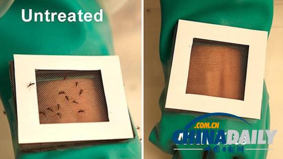 美国研发新型驱蚊贴 可令使用者在蚊子面前“隐身”