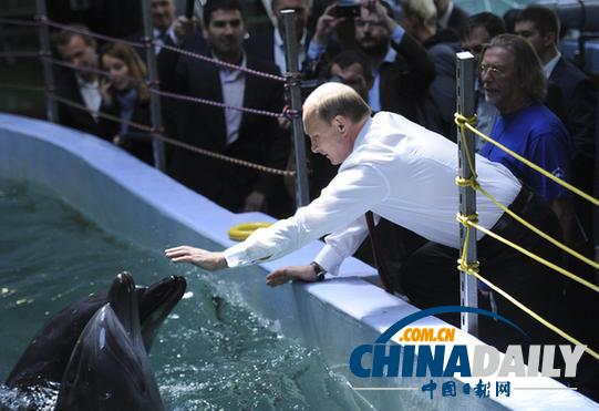 普京访问海洋馆 喂海豚与海象握手