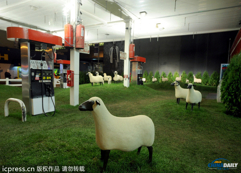 图：“绵羊”进驻加油站 纽约民众乐享田园绿意