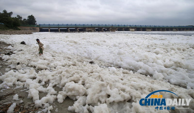 印度河流惊现大量泡沫污水（高清组图）