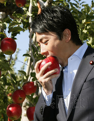 日本前首相小泉之子赴福岛视察 在果园品尝苹果