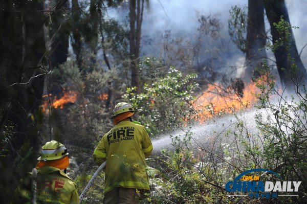 澳大利亚丛林火灾烧毁数百房屋 2000消防员奋力灭火