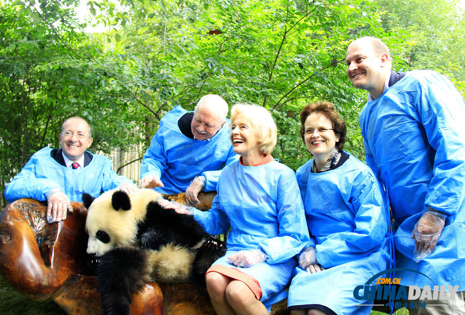 澳大利亚总督布赖斯访问成都 与大熊猫亲密接触（组图）
