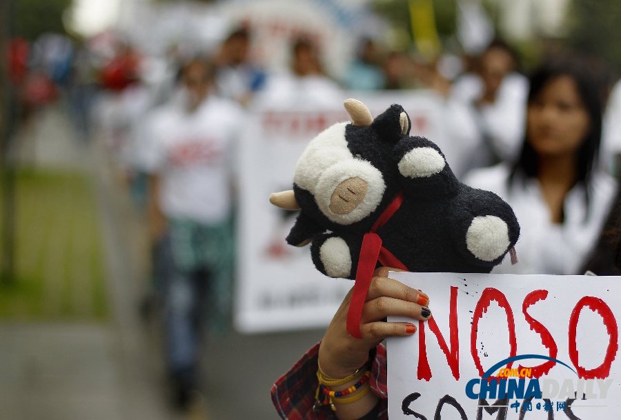 秘鲁首都人民游行示威 抗议举办斗牛比赛（图）