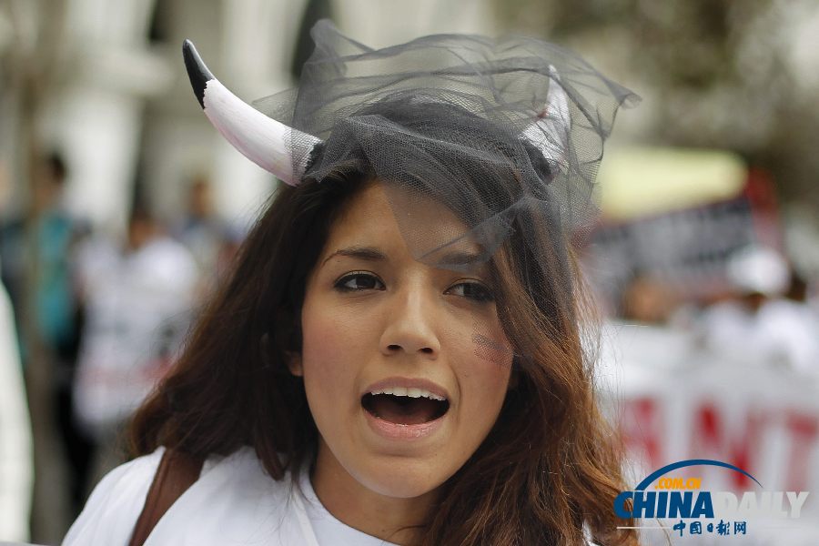 秘鲁首都人民游行示威 抗议举办斗牛比赛（图）