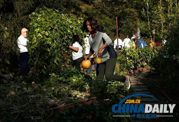 米歇尔白宫菜园迎来收获季 与儿童共摘丰收果实