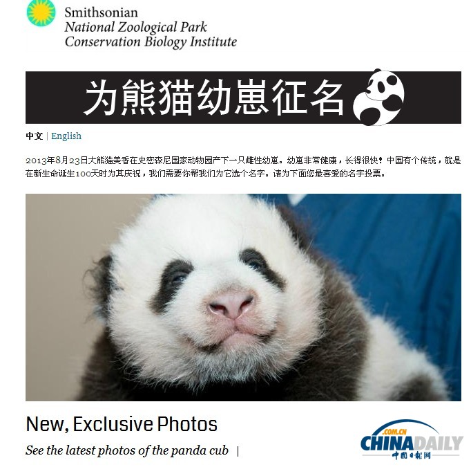 美国：旅美大熊猫诞下幼崽 动物园为其全球征名（组图）