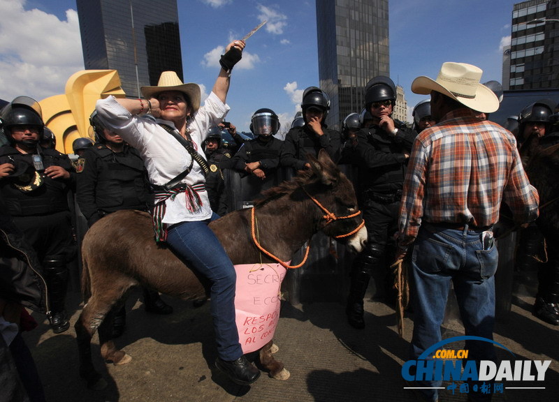 墨西哥农民骑驴骑马示威 要求提高农产品价格
