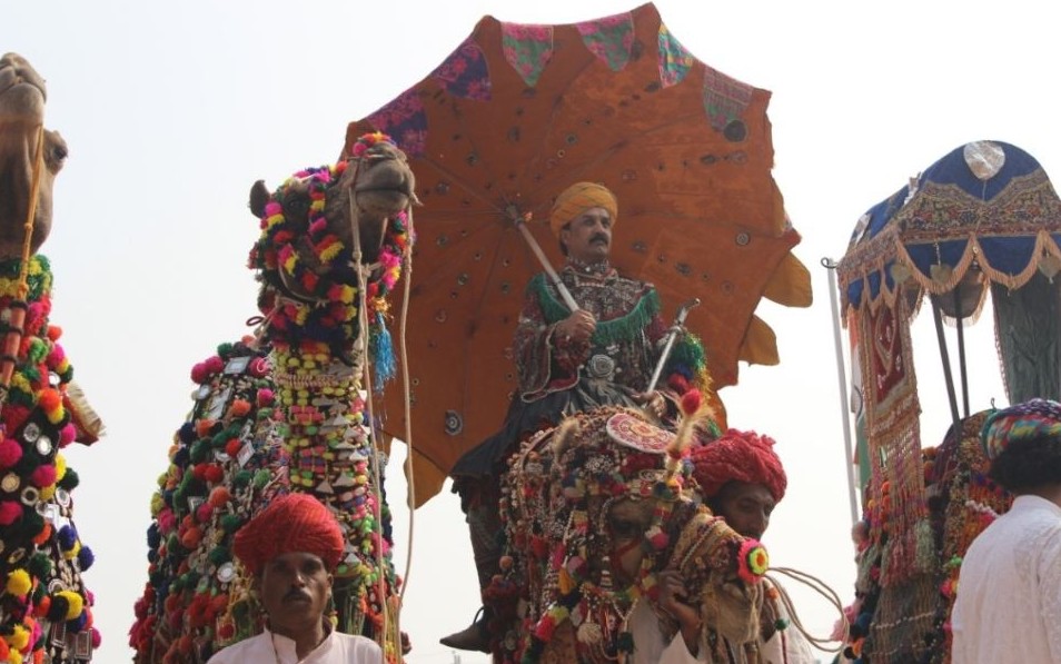 图：直击印度骆驼选美大赛 数万骆驼盛装亮相