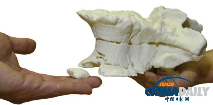 3D打印恐龙化石模型 有助研究时避免损坏化石