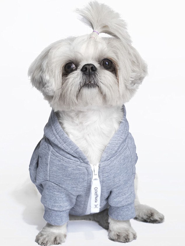 挪威制衣公司推出狗狗连体衫 样式超萌价格不菲 