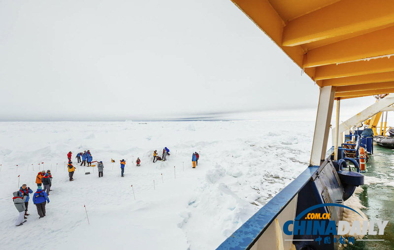 俄罗斯科考船受困南极 中国“雪龙”号紧急援救