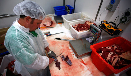 澳大利亚希望向中国出口更多袋鼠肉