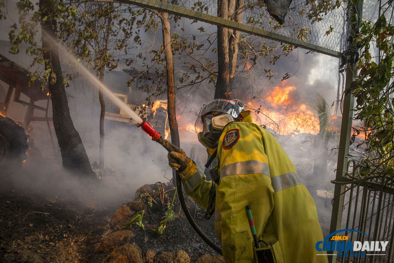 澳洲森林大火已摧毁房屋27幢 致1名消防员遇难