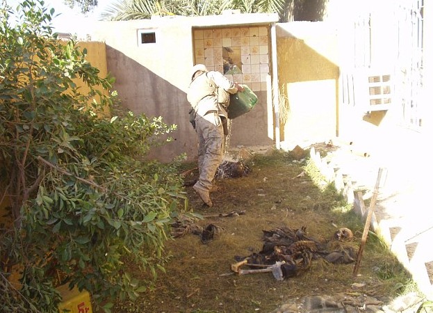 美国海军被曝虐尸 往伊拉克叛乱者尸骸淋汽油焚烧