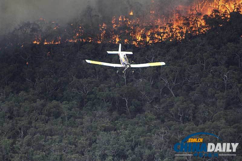 澳大利亚持续高温引发巨大山火 当地居民撤离