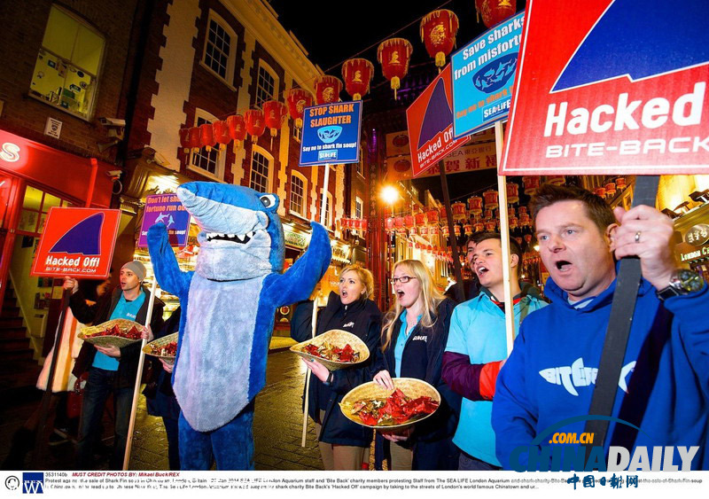 动物保护组织搭马年顺风车 唐人街示威抗议食用鲨鱼翅